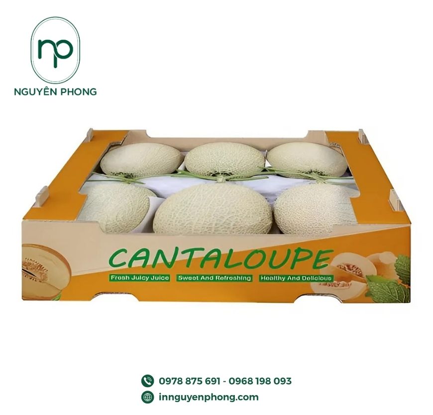 mau-hop-giay-dung-6-qua-dua-luoi